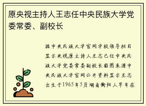 原央视主持人王志任中央民族大学党委常委、副校长