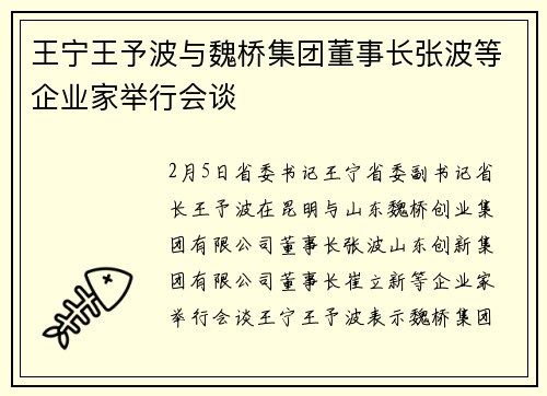 王宁王予波与魏桥集团董事长张波等企业家举行会谈