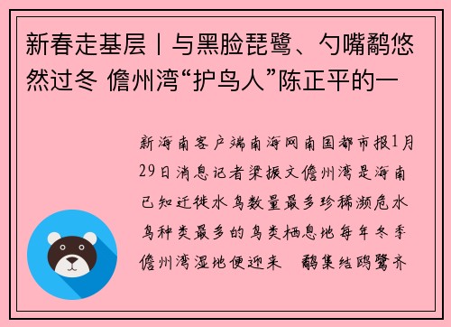 新春走基层丨与黑脸琵鹭、勺嘴鹬悠然过冬 儋州湾“护鸟人”陈正平的一天